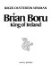Brian Boru King of Ireland