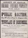 County of Cavan. Valuable Freehold Property For Sale. I am favoured with instructions from the reps. of the late Mr. James Fegan to sell by Public Auction, on the premises, on Wednesday, 1st August, 1894 ... in the townland of Dennmore