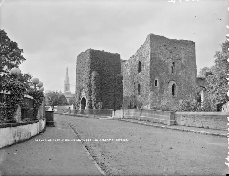Geraldine Castle ruins, Maynooth, Co. Kildare
