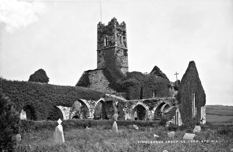 Timoleague Abbey, Co. Cork