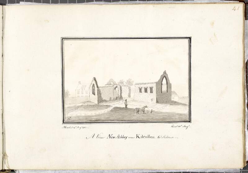 A View New Abbey near Kilcullen, Co.y Kildare