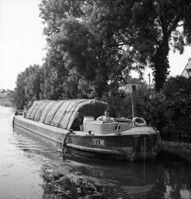 [Barge on Grand Canal, shrubs and trees on bank, Portobello/Ballsbridge Dublin]