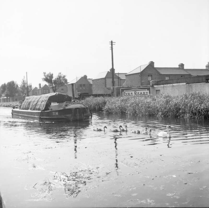 [Barge and swans on Grand Canal, Portobello/Ballsbridge, Dublin]
