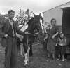 [Family and horse at Sheridan/O'Brien campsite, Loughrea, Co. Galway]
