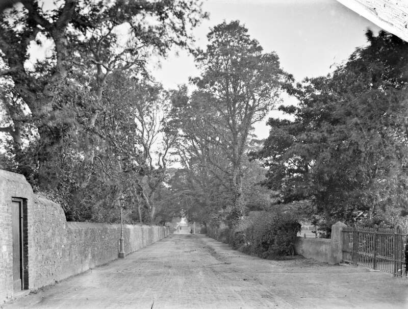 [Tree-lined road, Clontarf, Co. Dublin]