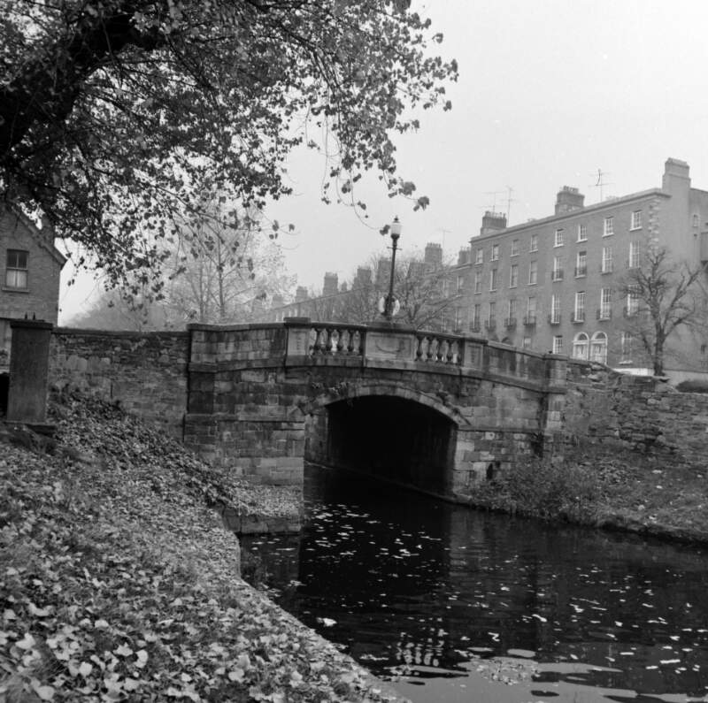 [Leaf strewn canal bank and Huband Bridge, Percy Place, Dublin]