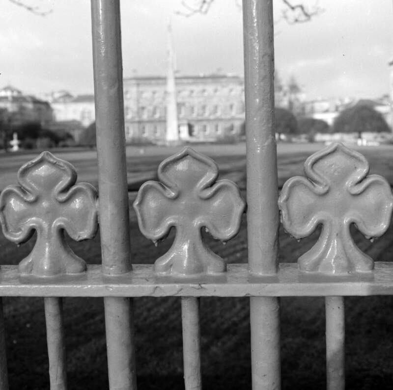 [Leinster Lawn viewed through railings, Merrion Square, Dublin]