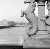 [Ornate lamp post depicting "sea-horses" on Grattan Bridge, Dublin]