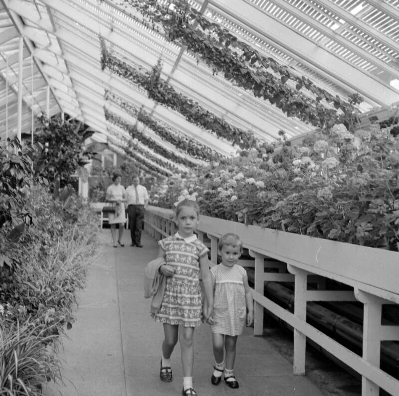 [Two little girls walking in greenhouse, Botanic Gardens, Glasnevin, Dublin]