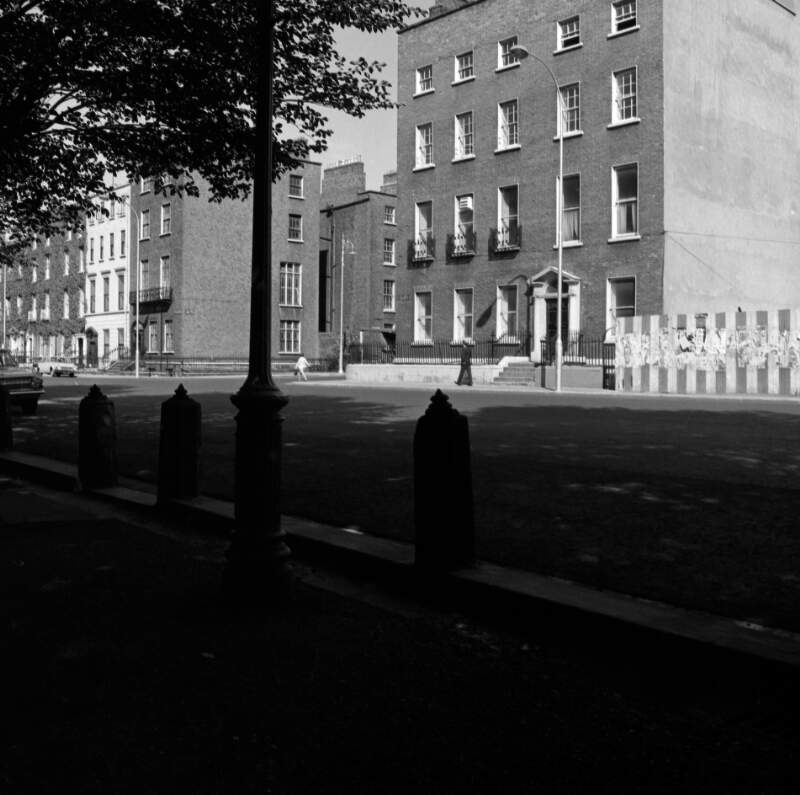 [Lamp post and tree near junction of Hume Street and St. Stephen's Green, Dublin]
