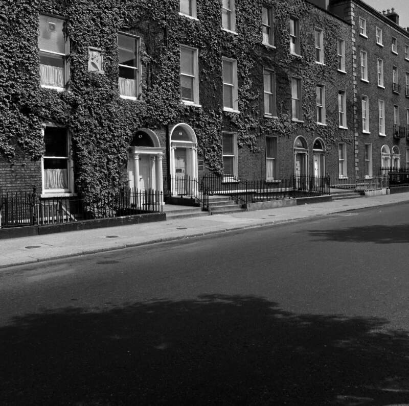 [Ivy covered houses, Lower Baggot Street, Dublin]