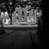 [Trees and houses, Lower Baggot Street, Dublin]