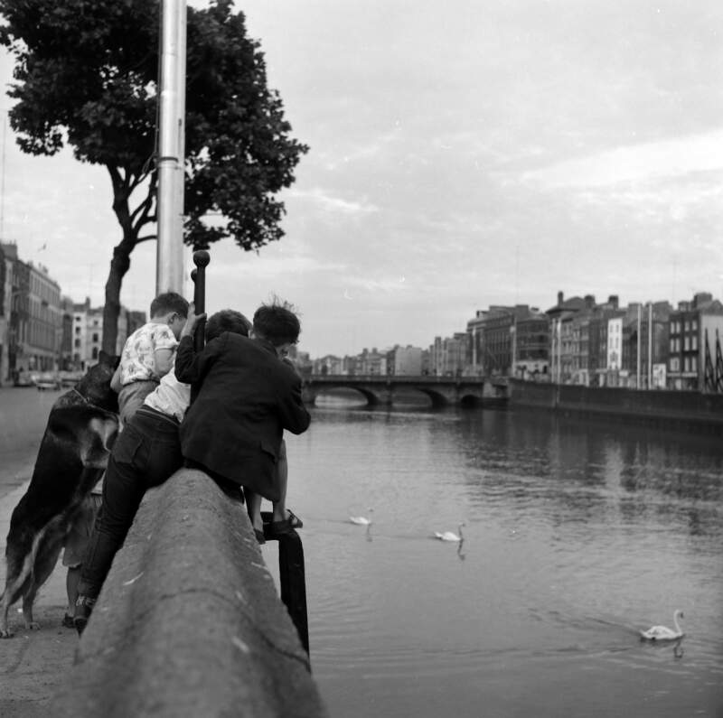 [Children leaning over Liffey Wall to see swans, Upper Ormond Quay, Dublin]