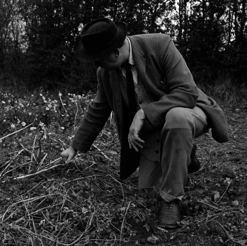 [Patrick Kavanagh kneeling down to examine crop in field, Inniskeen, Co. Monaghan]