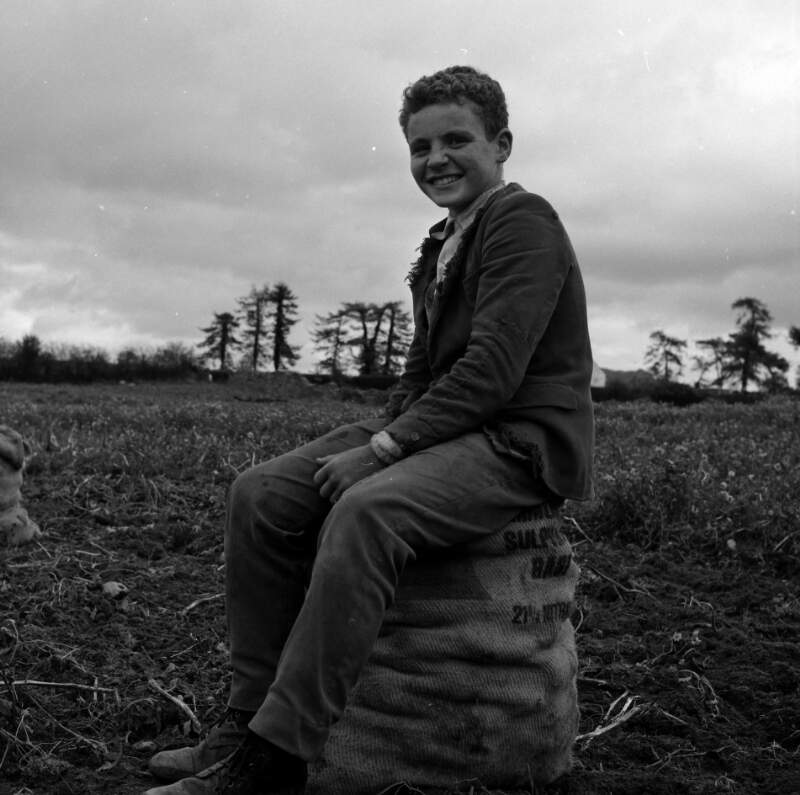 [Young boy sitting on bag of potatoes, Inniskeen, Co. Monaghan]