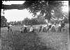 [Adults and children playing tug of war, Drumleck, Co. Louth]