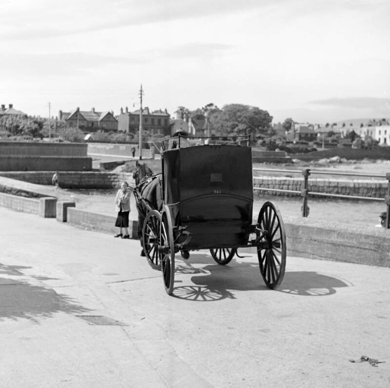 [Horse drawn carriage stopped at quayside, Bloomsday, Co. Dublin]