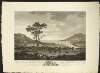 A view of Carlingford Harbour and Warrin [sic] Point from the Domain of Roger Hall, Esq. near Narrow Water. To whom this palet is inscribed ...