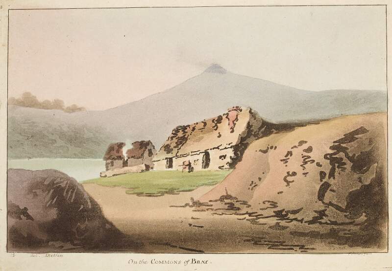 On the commons of Bray