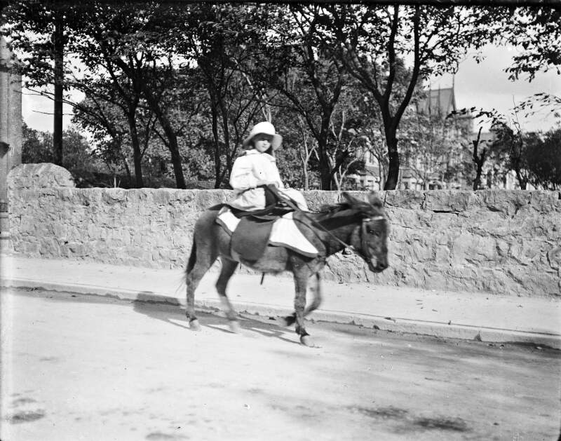 [Girl riding a donkey, with other children on donkeys in the background]