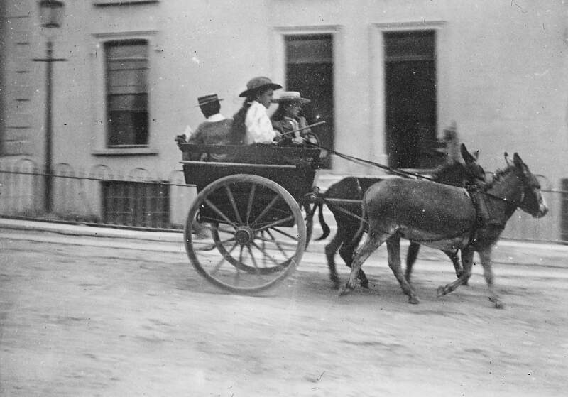 [Cart drawn by two donkeys, with three passengers]