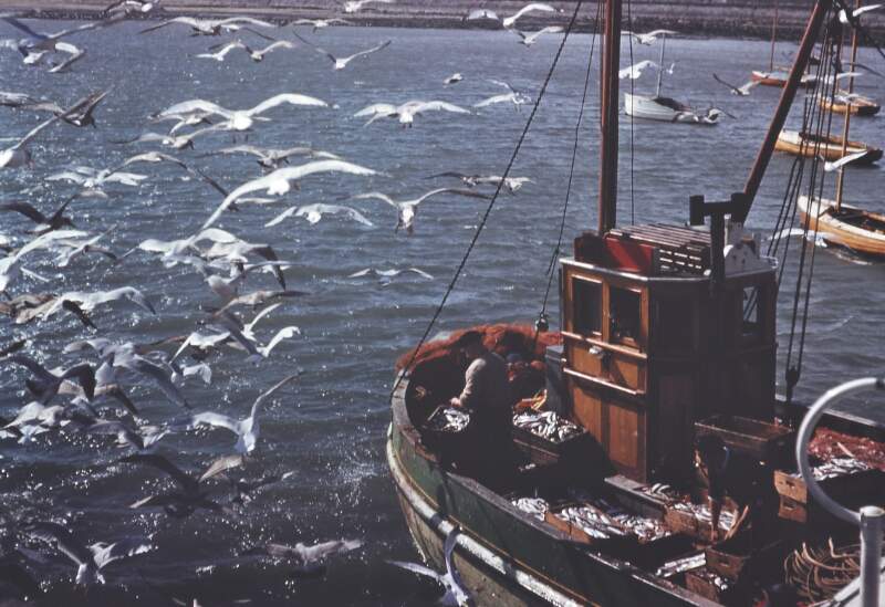 [Fishing trawler, Skerries, Co.Dublin]