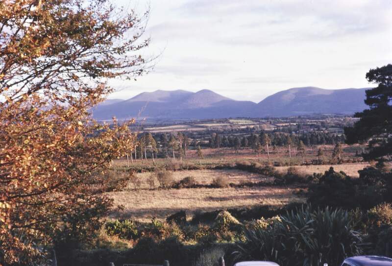 [Plains of Tipperary]