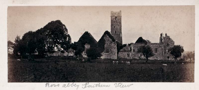 [Ross Abbey, Co.Galway]