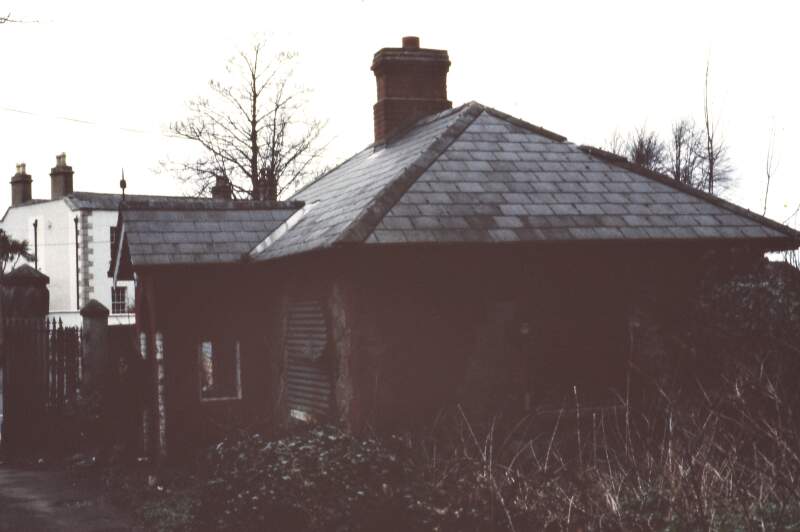 [Derelict cottage, located near the Ballinteer Road, Co. Dublin]