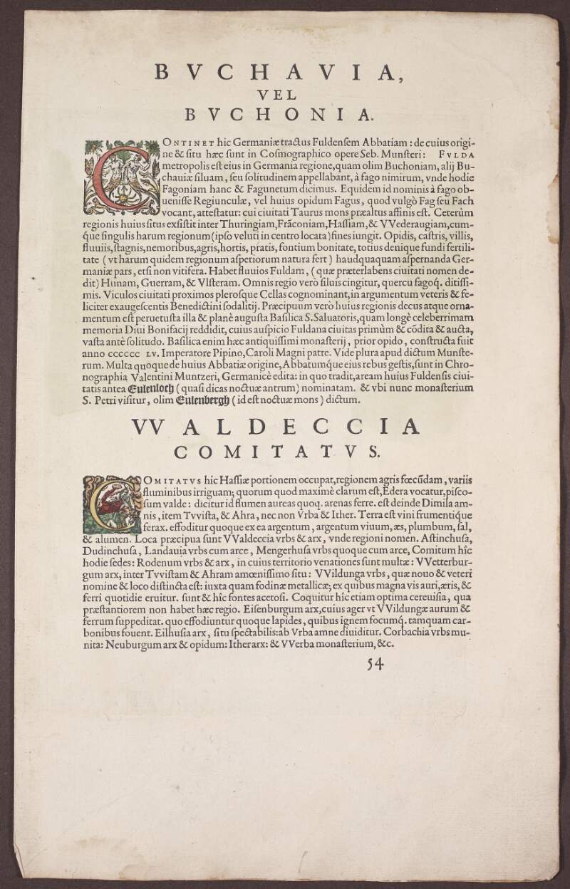 Buchaviae siue Fuldensis ditionis typus. : Waldeccensis comitatus descriptio accuratissima.,