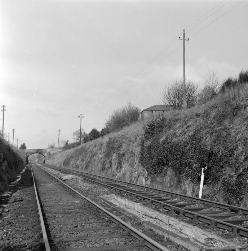 View of the tracks, Dundrum, Co. Dublin.