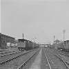 Yard & train, Limerick City, Co. Limerick.