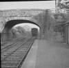 Train leaving, Dunboyne, Co. Meath.