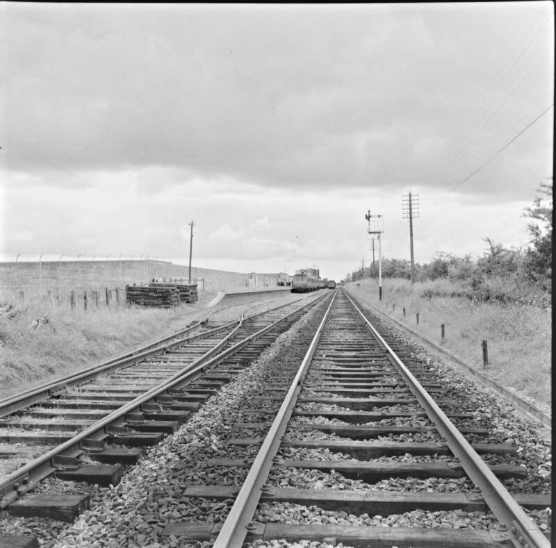 View of tracks, Newbrook, Co. Westmeath.