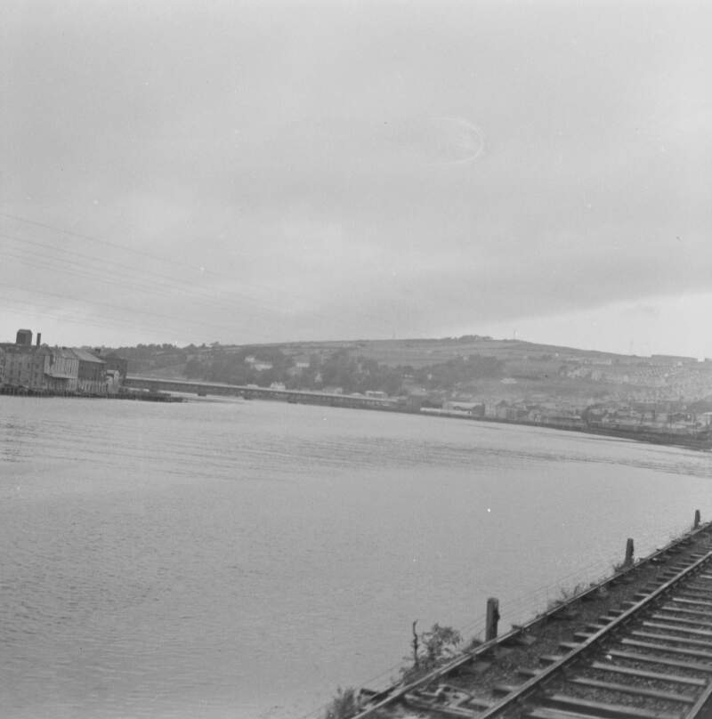 Craigavon Bridge in background, Waterside, Co. Derry.