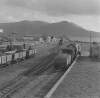 Shunting beet special train, Fenit, Co. Kerry.