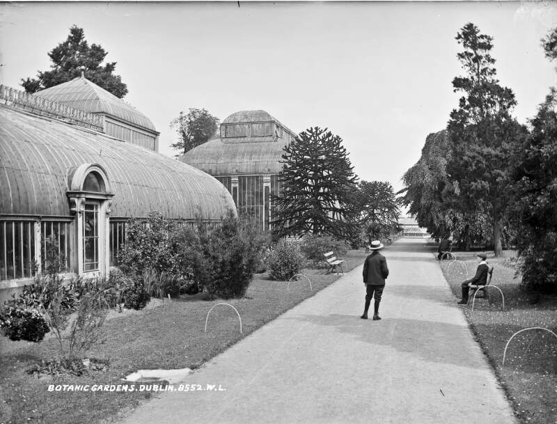 Botanic Gardens, Glasnevin, Co. Dublin