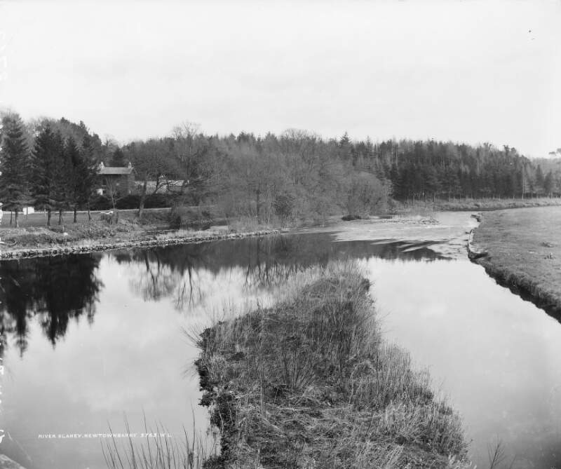 River Slaney, Newtownbarry, Co. Wexford