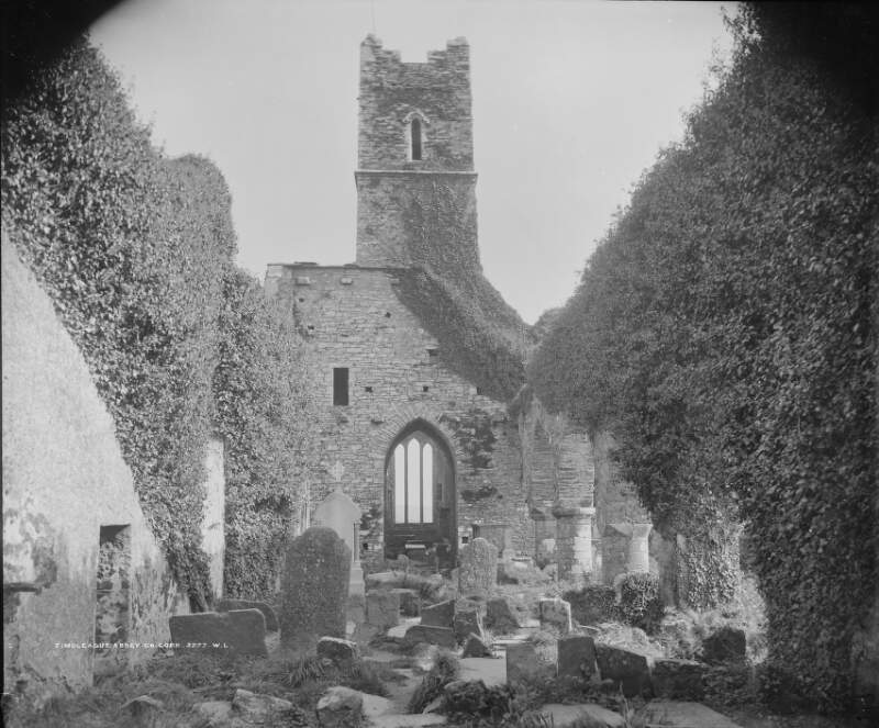 Abbey, Timoleague, Co. Cork