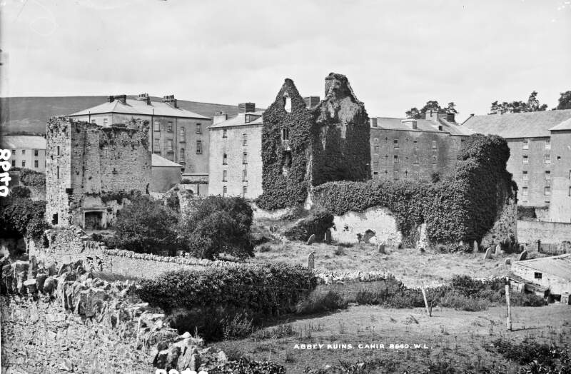Abbey Ruins, Cahir, Co. Tipperary