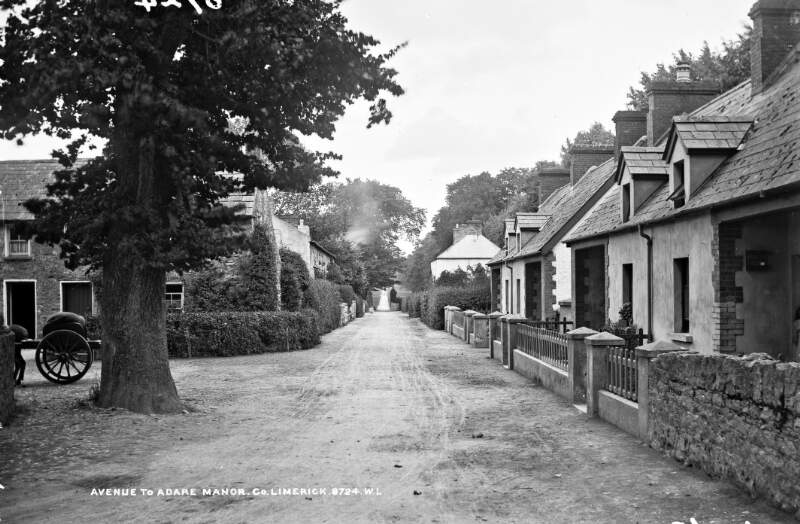 Avenue to Adare Manor, Adare, Co. Limerick