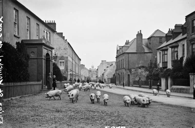 Friar Street, Youghal, Co. Cork