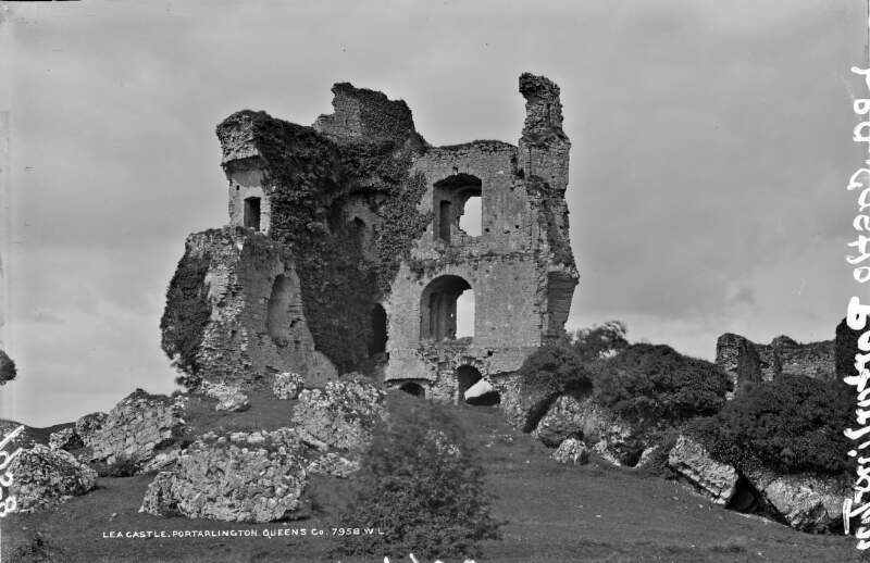 Lea Castle, Portarlington, Co. Laois
