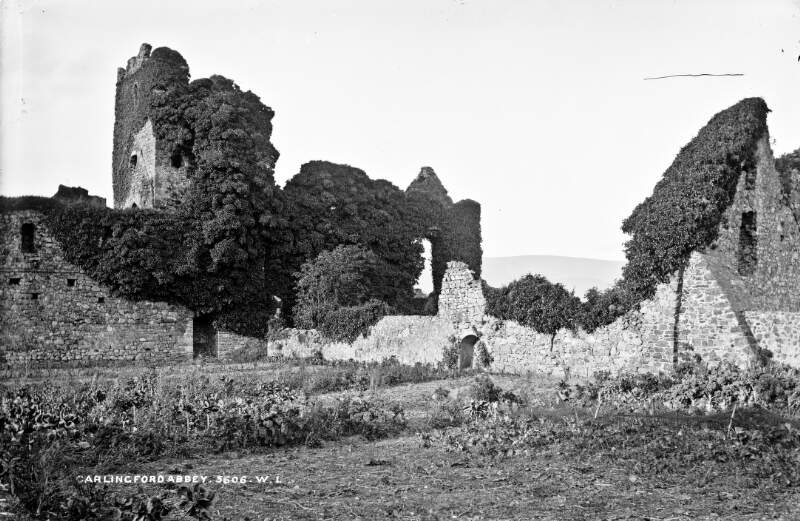 Abbey, Carlingford, Co. Louth