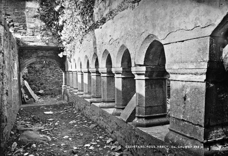 Ross Abbey, Headford, Co. Galway