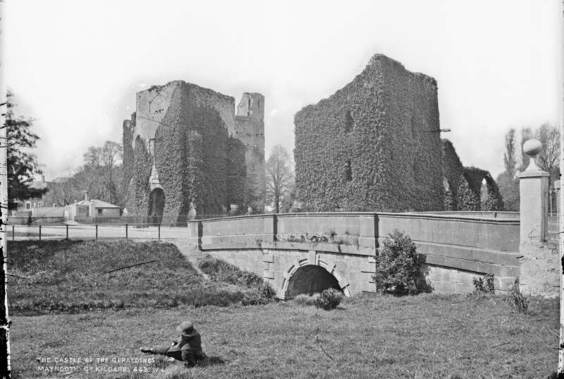 Geraldine Castle, Maynooth, Co. Kildare