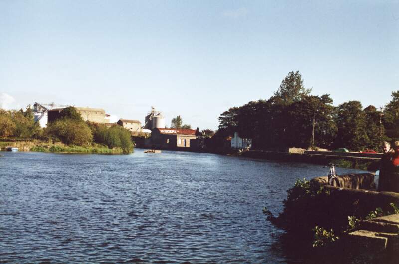Barrow River, Carlow