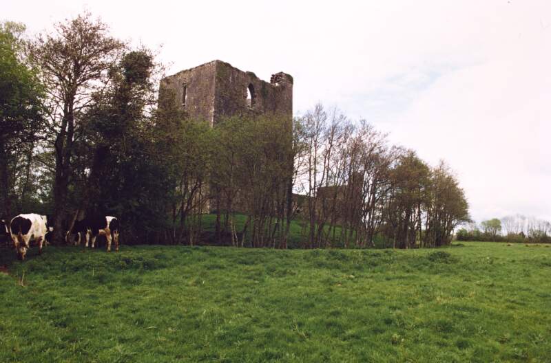Kilcrea Castle, Aherla, Co. Cork