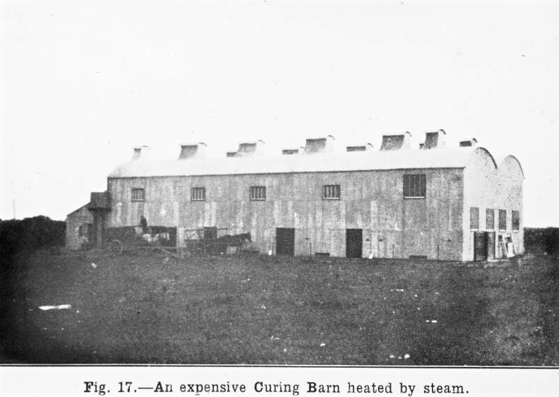 Fig. 17: 'An expensive curing barn heated by steam'. Horse & cart delivery beside door.