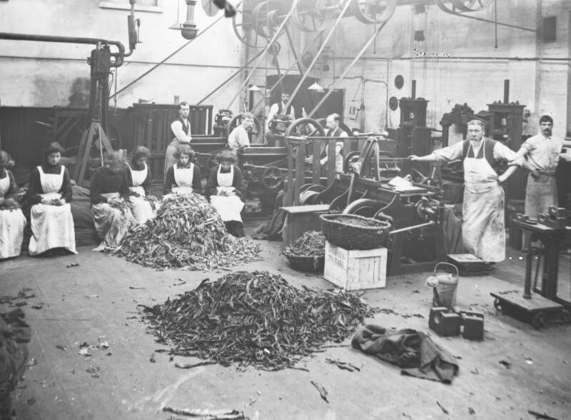 Goodbody: women with leaves; men at presses.